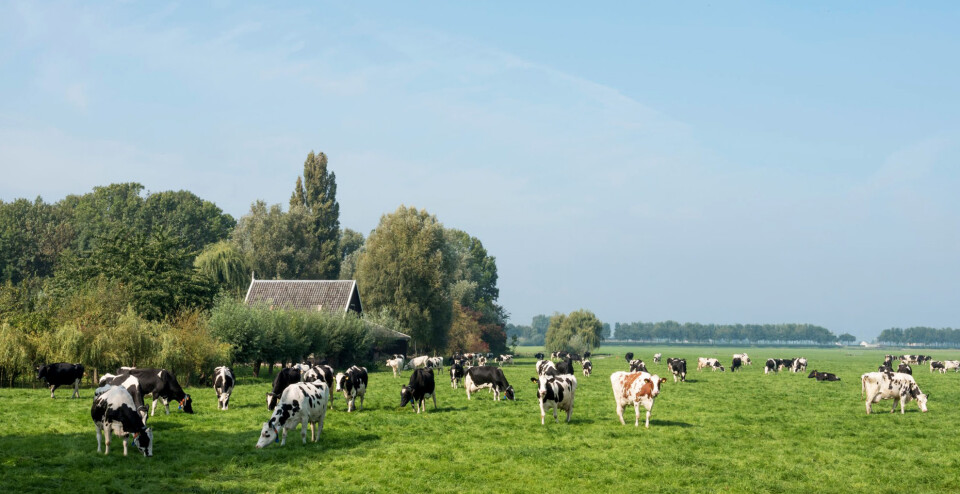 Actueel aanbod foto